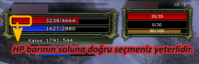 ARGUS kurulum adımı 10