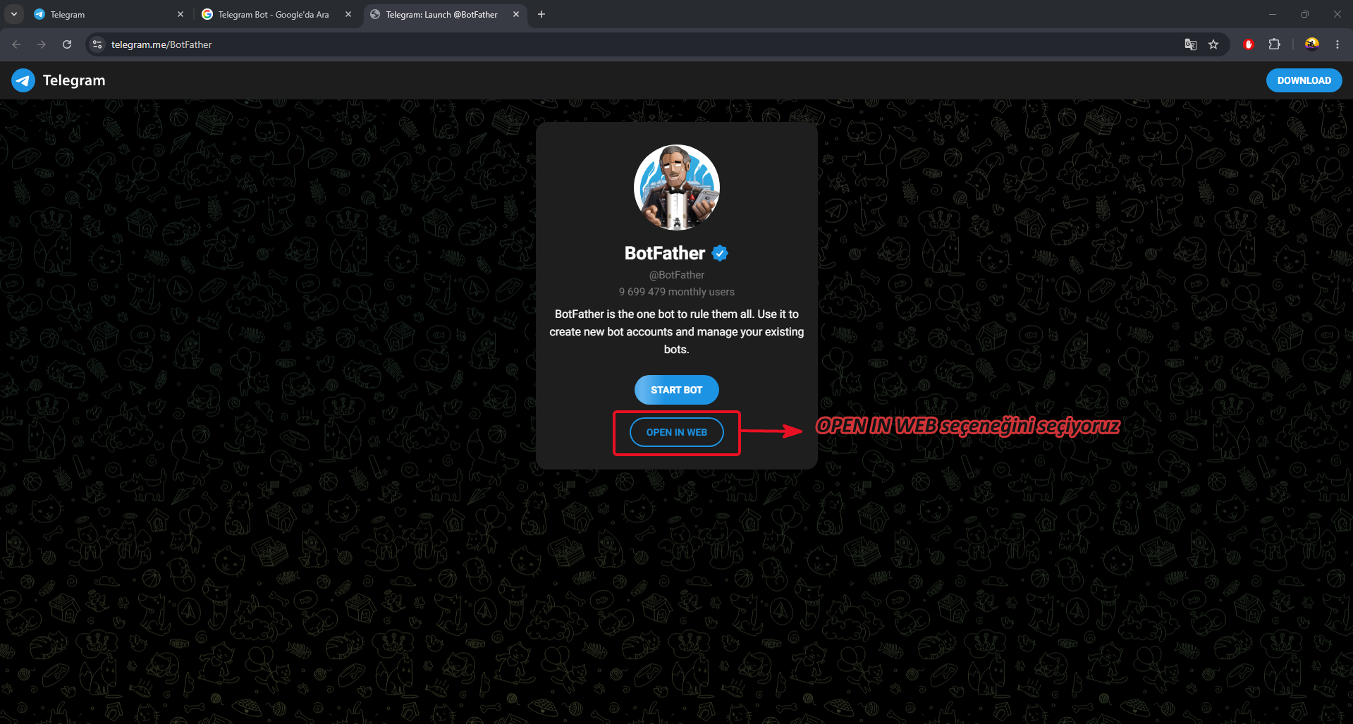 Telegram kurulum adımı 2